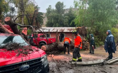 Chile after the storms: our operations continue without disruption. Do you want to help?