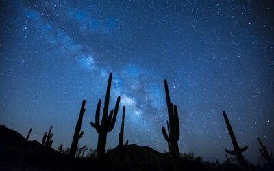 New Year’s Eve in the Atacama Desert: a night of fine dining and deep-sky astronomy